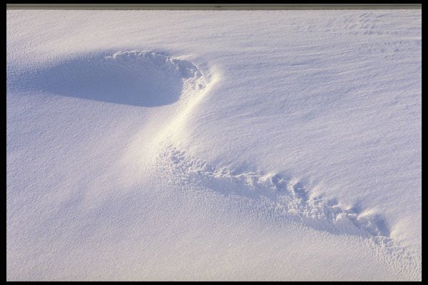 423088 Snowdrift Detail A4 Photo Print