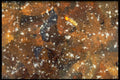 423097 Leaves Frozen In Ice A4 Photo Print
