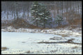 424001 Beaver Lodge And Pond, Quebec, Canada. A4 Photo Print