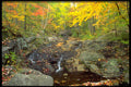 424008 Autumn Stream, Quebec, Canada A4 Photo Print