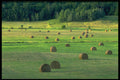 424034 Hay Bales And Evening Light, Quebec, Canada. A4 Photo Print