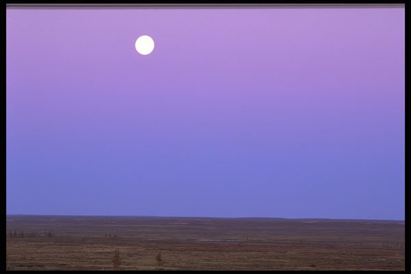 424075 Moonrise In The Barrenlands, Northwest Territories, Canada. A4 Photo Print