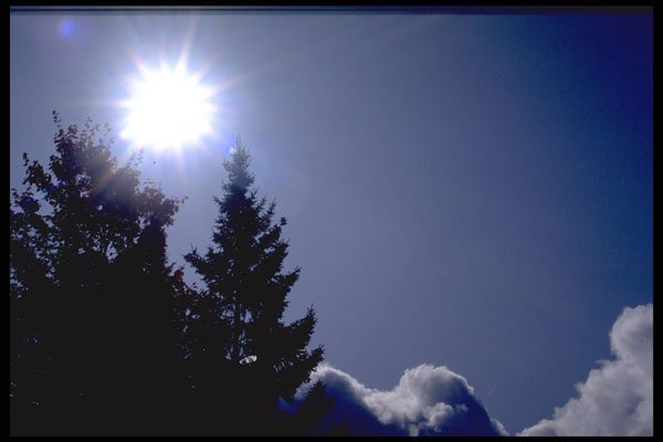 424076 Pine Trees, Clouds And Sun, Canada. A4 Photo Print