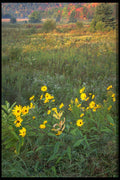 424082 Sunflowers And An Autumn Field. A4 Photo Print