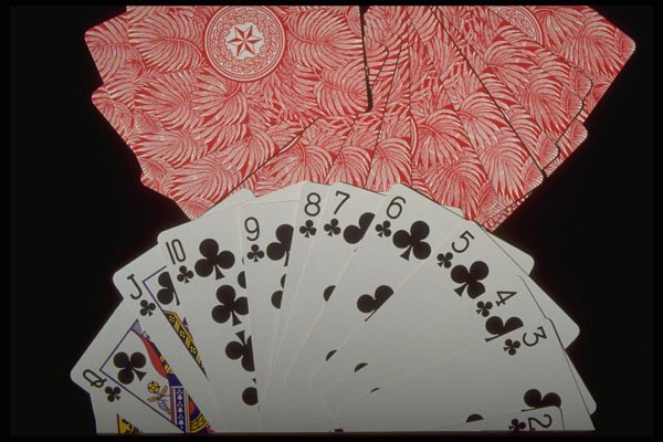 425008 Fan Of Clubs A4 Photo Print