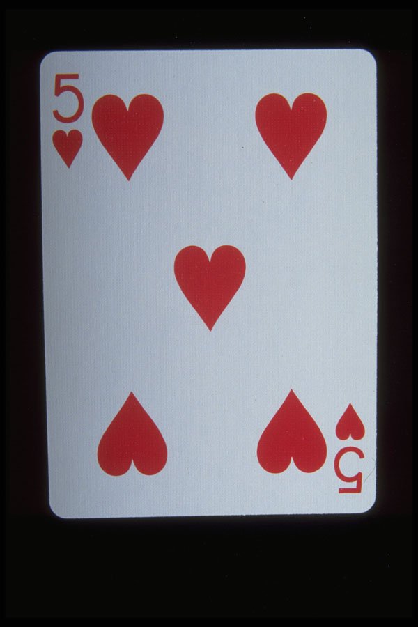 425025 Five Of Hearts A4 Photo Print