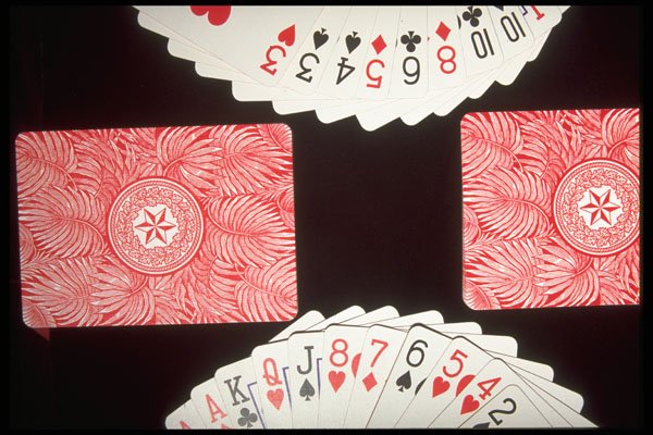 425031 Card Fans A4 Photo Print