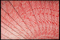 425034 Card Fan Background A4 Photo Print