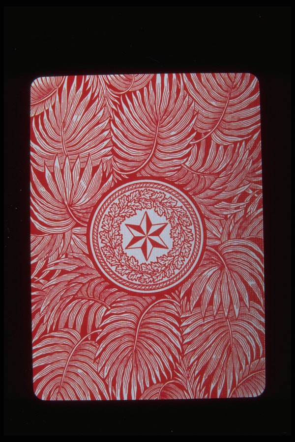 425060 Back Of Card A4 Photo Print