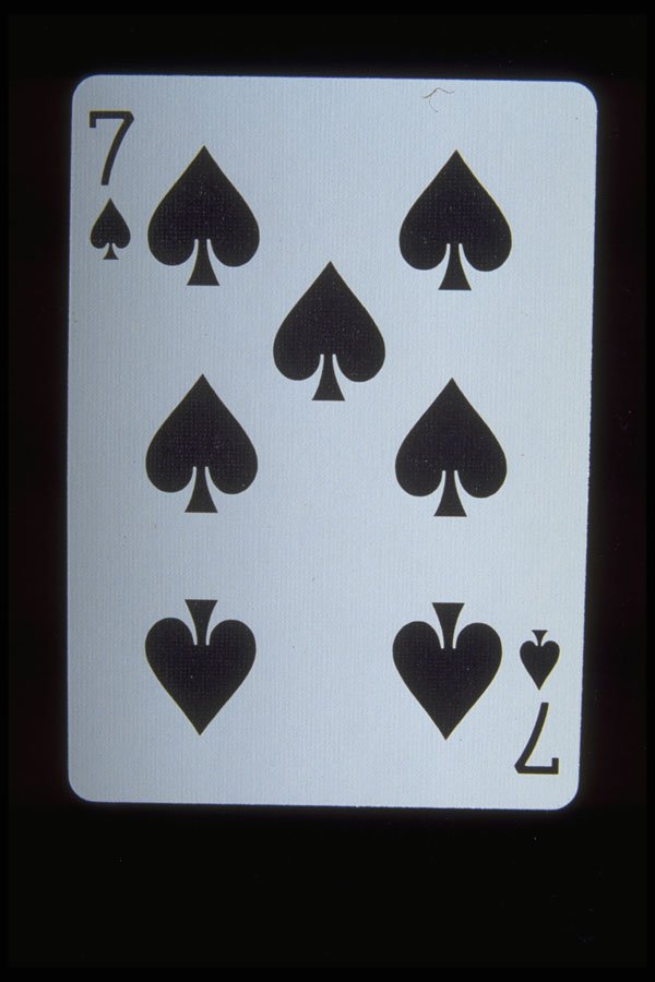 425072 Seven Of Spades A4 Photo Print