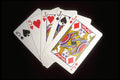 425081 Full House A4 Photo Print