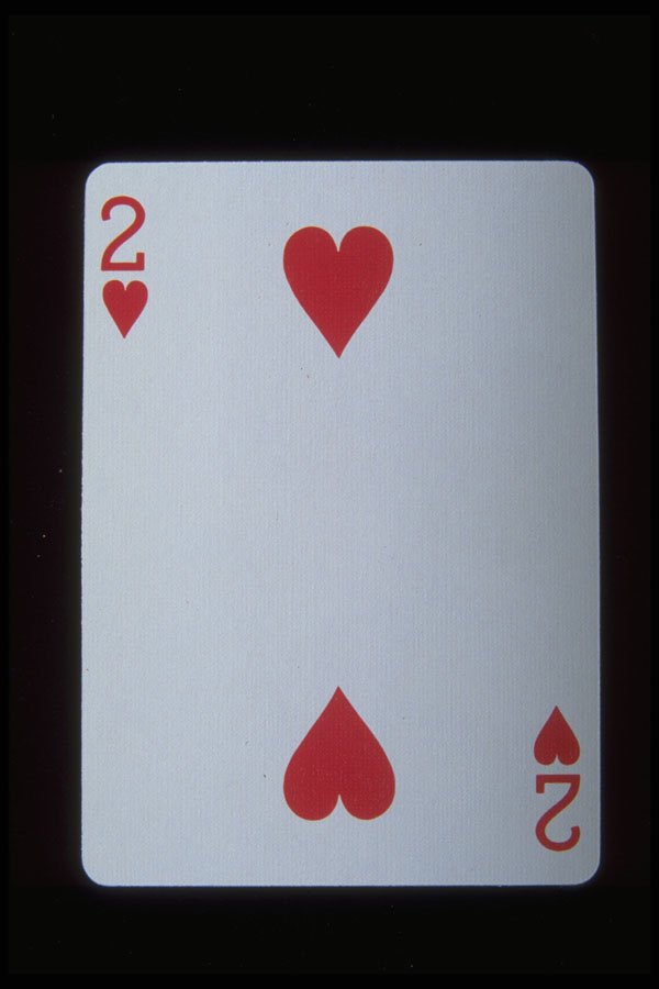 425094 Two Of Hearts A4 Photo Print