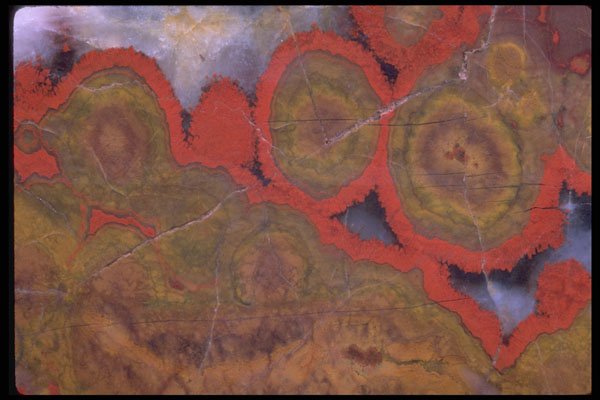 426002 Brown Agate With Red Jasper Rims A4 Photo Print