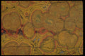 426003 Orbicular Jasper A4 Photo Print