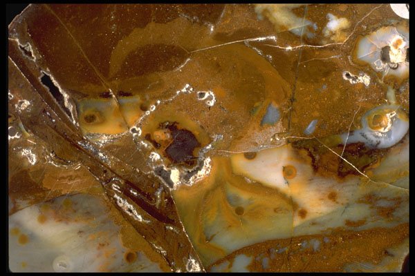 426009 Agate With Brown Spherules A4 Photo Print