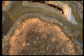 426012 Agate With Vug A4 Photo Print