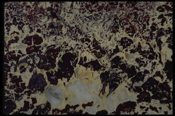 426013 Black And White Agate A4 Photo Print