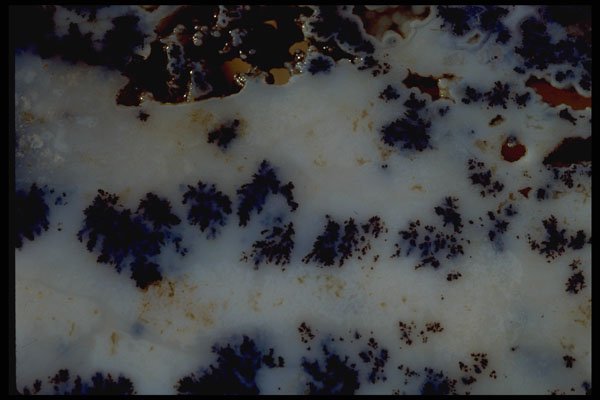 426014 Black Moss Agate A4 Photo Print
