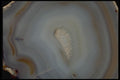 426015 Tan Brazilian Agate A4 Photo Print