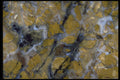 426016 Brown Fractured Agate A4 Photo Print