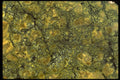 426017 Intensely Fractured Agate A4 Photo Print