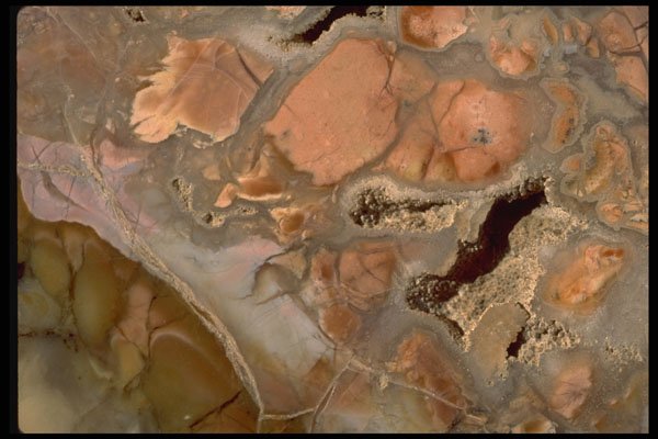 426018 Agate With Vugs A4 Photo Print