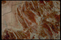426019 Red And White Agate A4 Photo Print