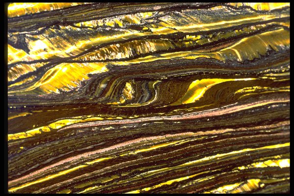 426023 Black And Gold A4 Photo Print