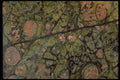 426024 Brown And Green Agate A4 Photo Print