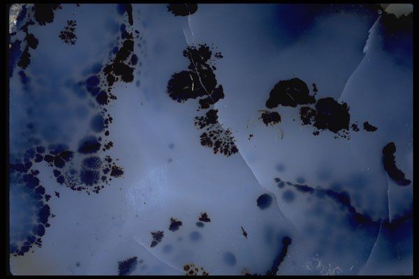 426027 Moss Agate A4 Photo Print