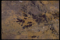426032 Dendritic Agate A4 Photo Print