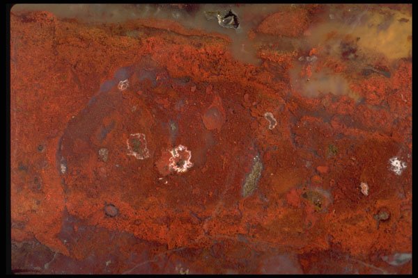 426034 Red Agate A4 Photo Print