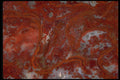 426035 Red Algal Agate A4 Photo Print