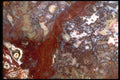 426037 Red And White Agate A4 Photo Print