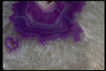 426042 Purple Dyed Agate A4 Photo Print