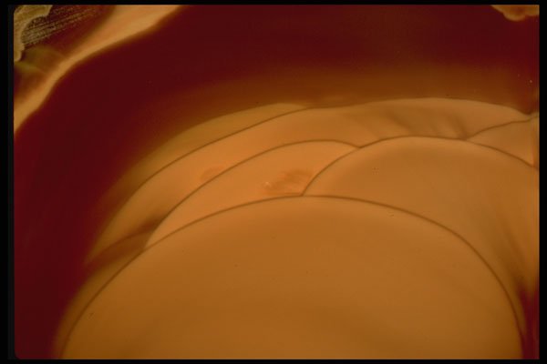 426044 Brown Agate A4 Photo Print