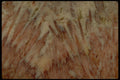 426047 Brown And White Agate A4 Photo Print