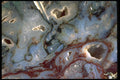 426048 Blue Agate With Vugs A4 Photo Print