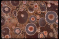 426052 Pisolitic Rimmed Agate Mass A4 Photo Print