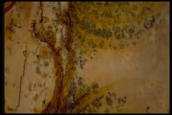 426058 Brown Moss Agate A4 Photo Print