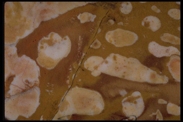 426060 White Spherules In Brown Agate A4 Photo Print