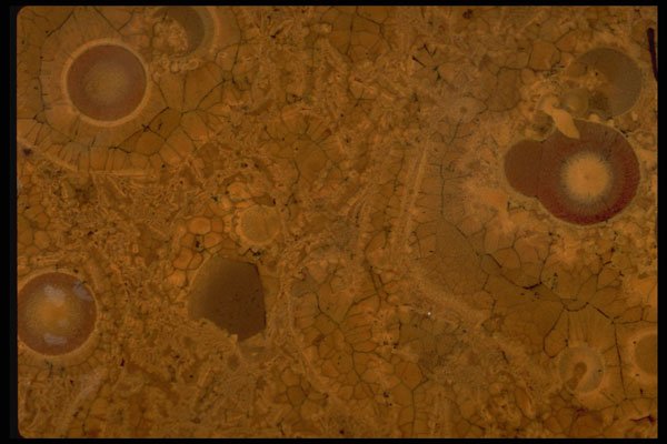 426062 Spherulitic Jasper A4 Photo Print