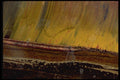 426064 Tiger Eye A4 Photo Print