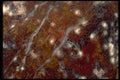 426066 White Spherules In Jasper A4 Photo Print