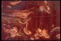 426072 Jasper A4 Photo Print