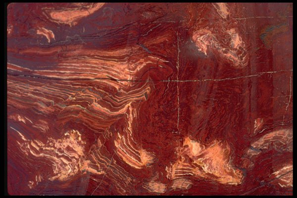 426072 Jasper A4 Photo Print