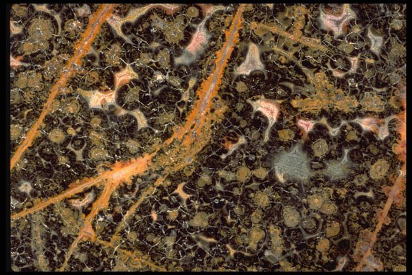426074 Pisolitic Black And Brown Agate A4 Photo Print