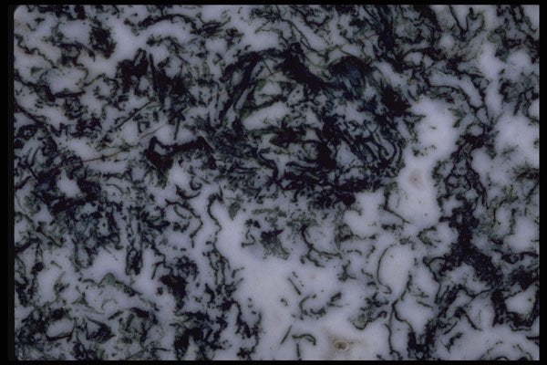 426077 Black And White Agate A4 Photo Print