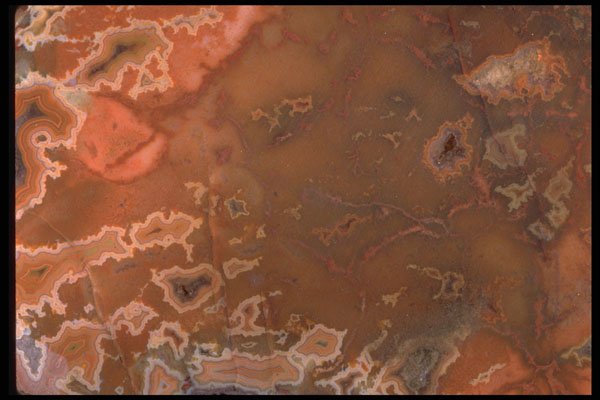 426079 Mexican Crazy Lace Agate A4 Photo Print