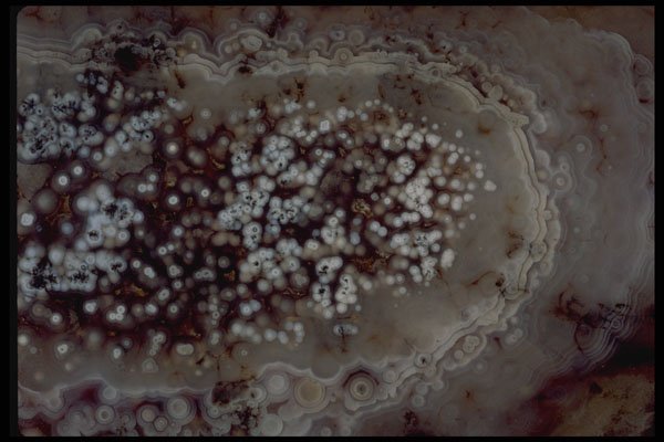 426081 Pisolitic Crazy Lace Agate A4 Photo Print